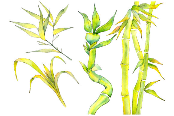 Download Bamboo Watercolor Product&nbsp; - Water Collection